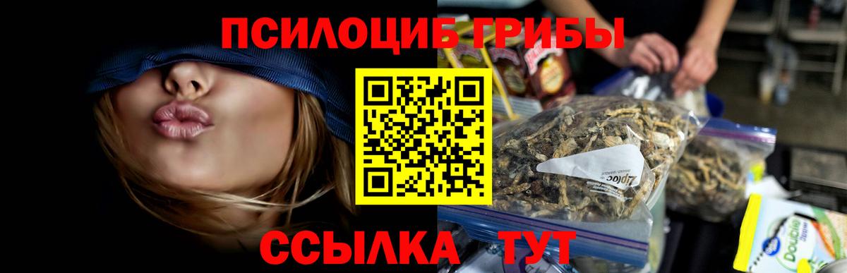 Псилоцибиновые грибы мухоморы  Вход с VPN  Псилоцибиновые грибы мухоморы  Волгоград 